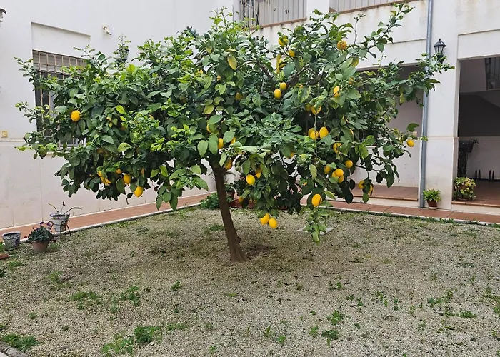 דירה Menina San Pedro