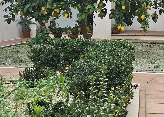 Menina San Pedro Διαμέρισμα *