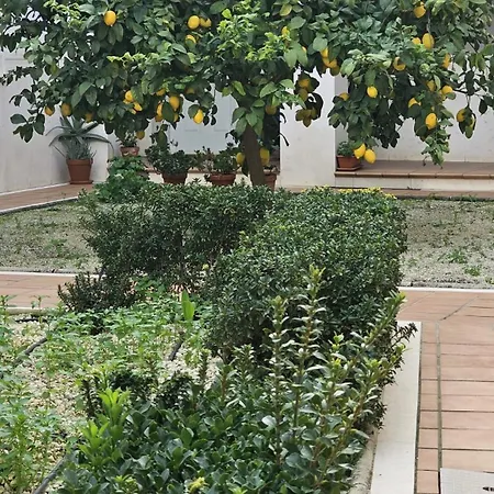 Menina San Pedro דירה *