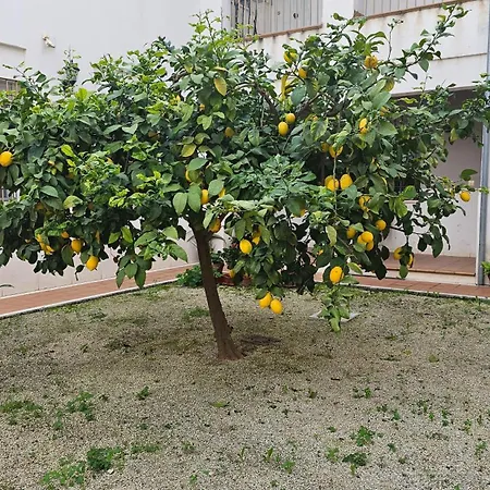 דירה Menina San Pedro